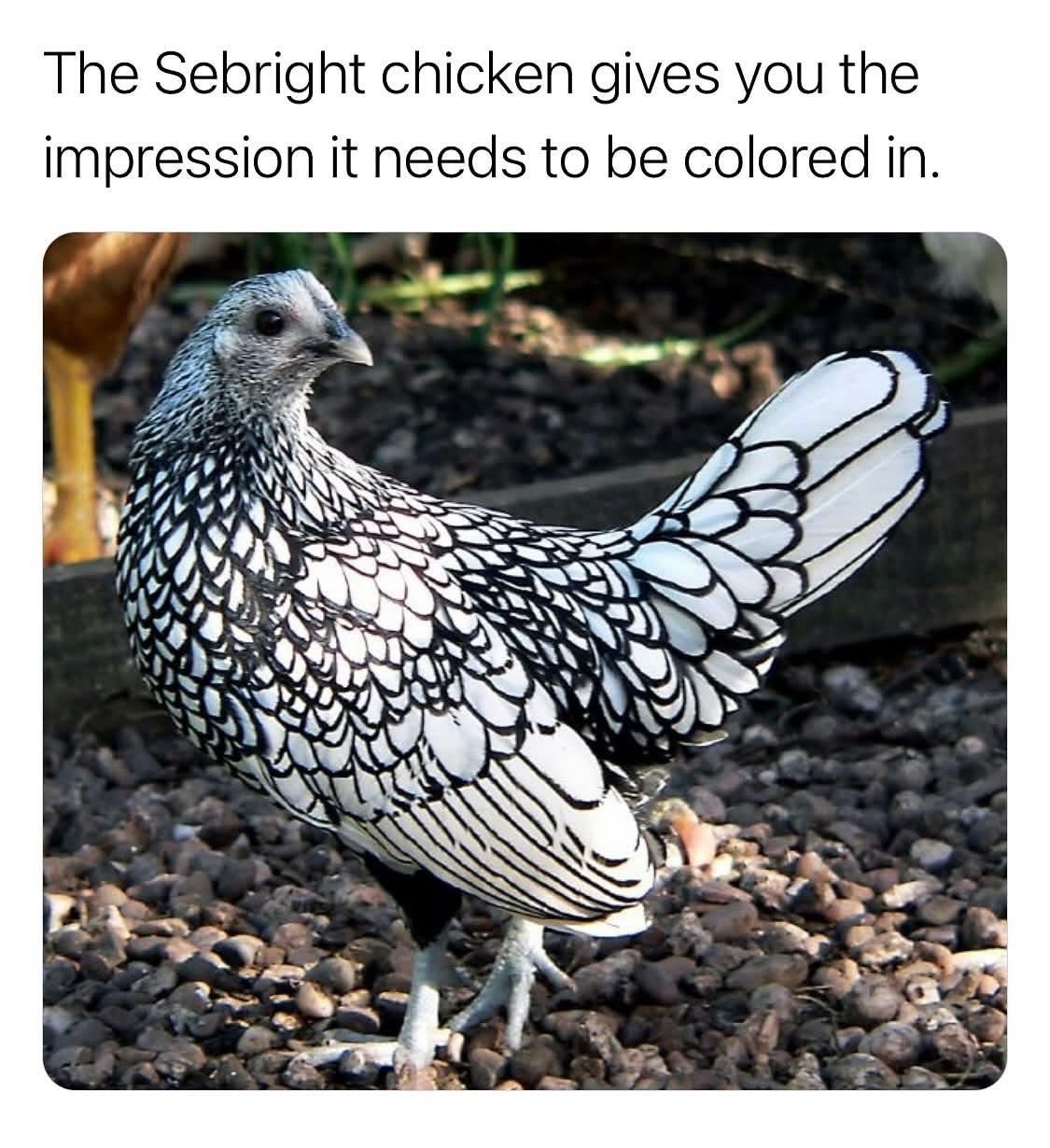 Daily Pictures. Part 2 (61 pics) Daily Pictures. Part 2 (61 pics)