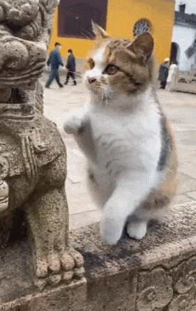 Acid GIFs, January 2 (25 gifs)