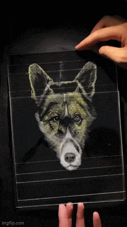 Acid GIFs, January 2 (25 gifs)