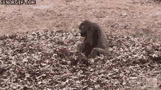 Acid GIFs, January 2 (25 gifs)