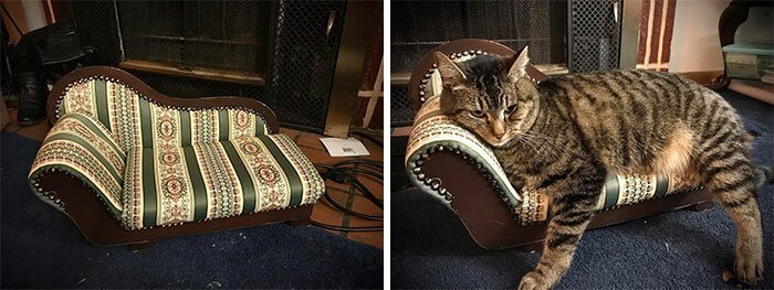 Amazing DIY Crafts (25 pics) Amazing DIY Crafts (25 pics)