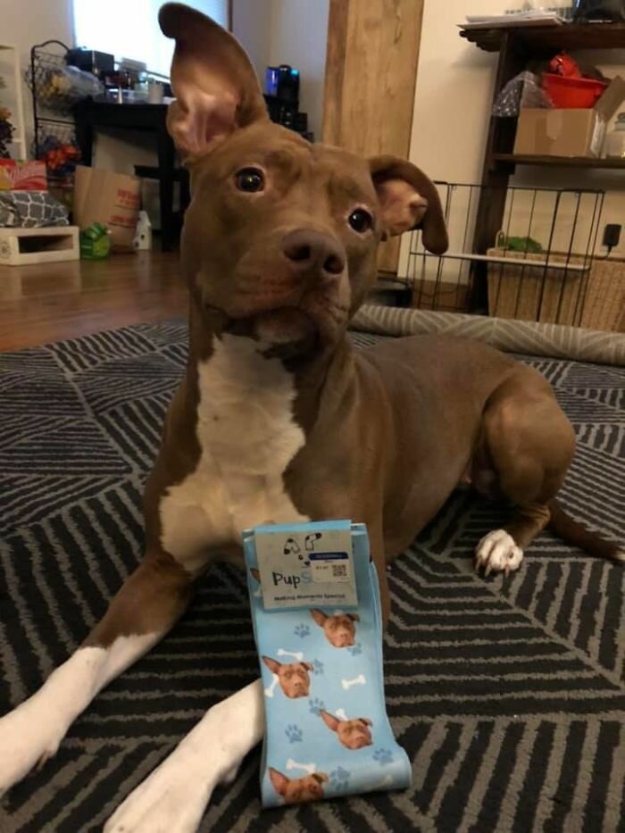 Amazing DIY Crafts (25 pics) Amazing DIY Crafts (25 pics)