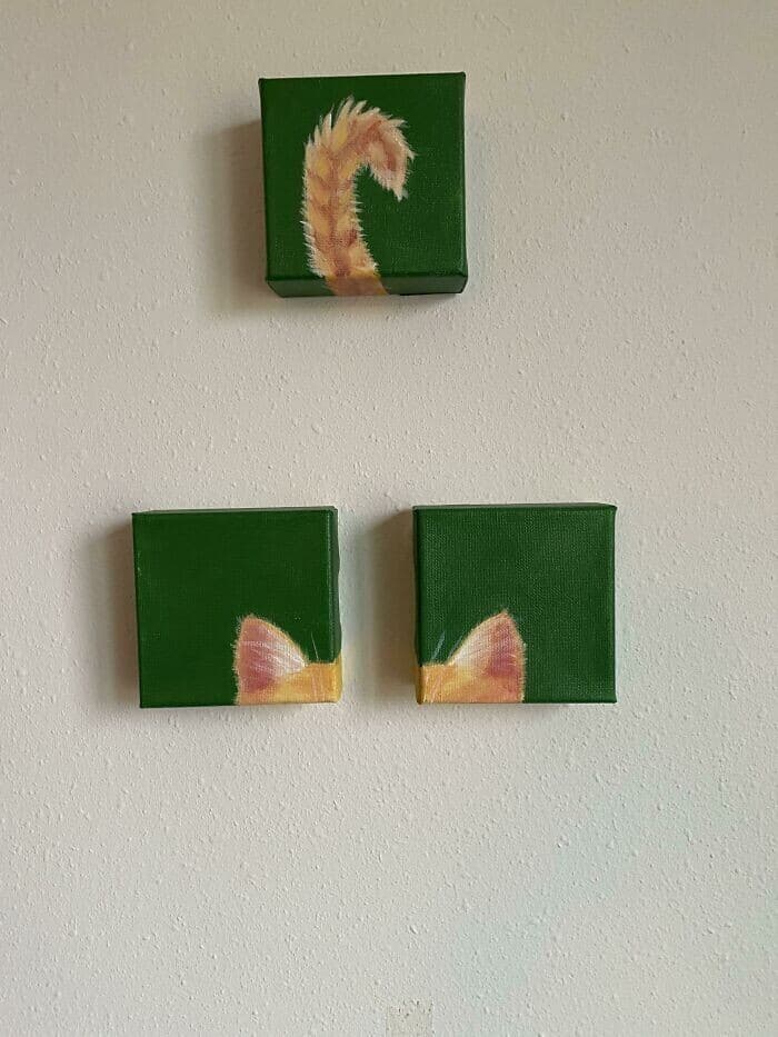 Cool Roadside Finds (29 pics)