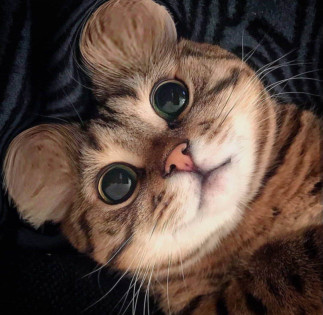 Daily Pictures. Part 1 (64 pics)