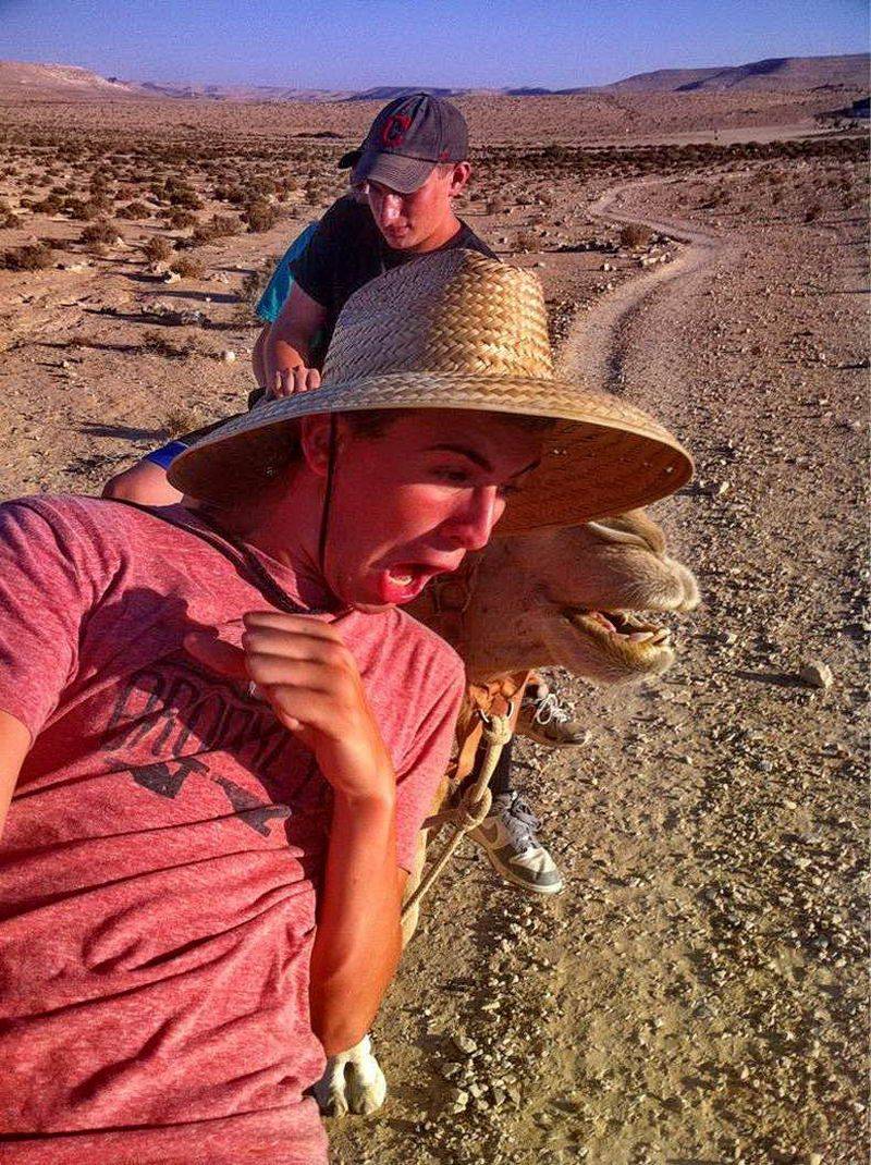 Daily Pictures. Part 1 (64 pics)