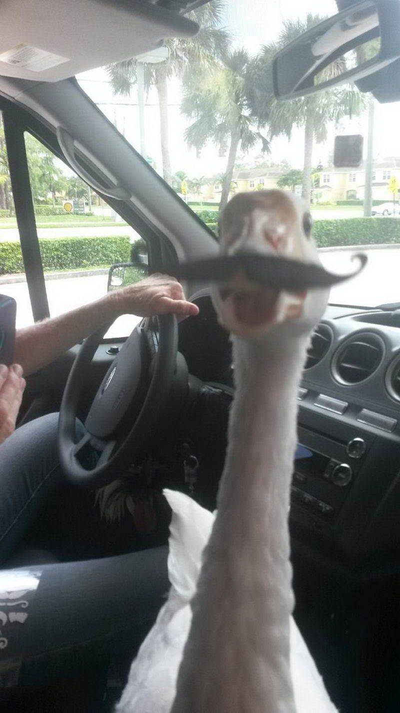 Daily Pictures. Part 1 (64 pics)