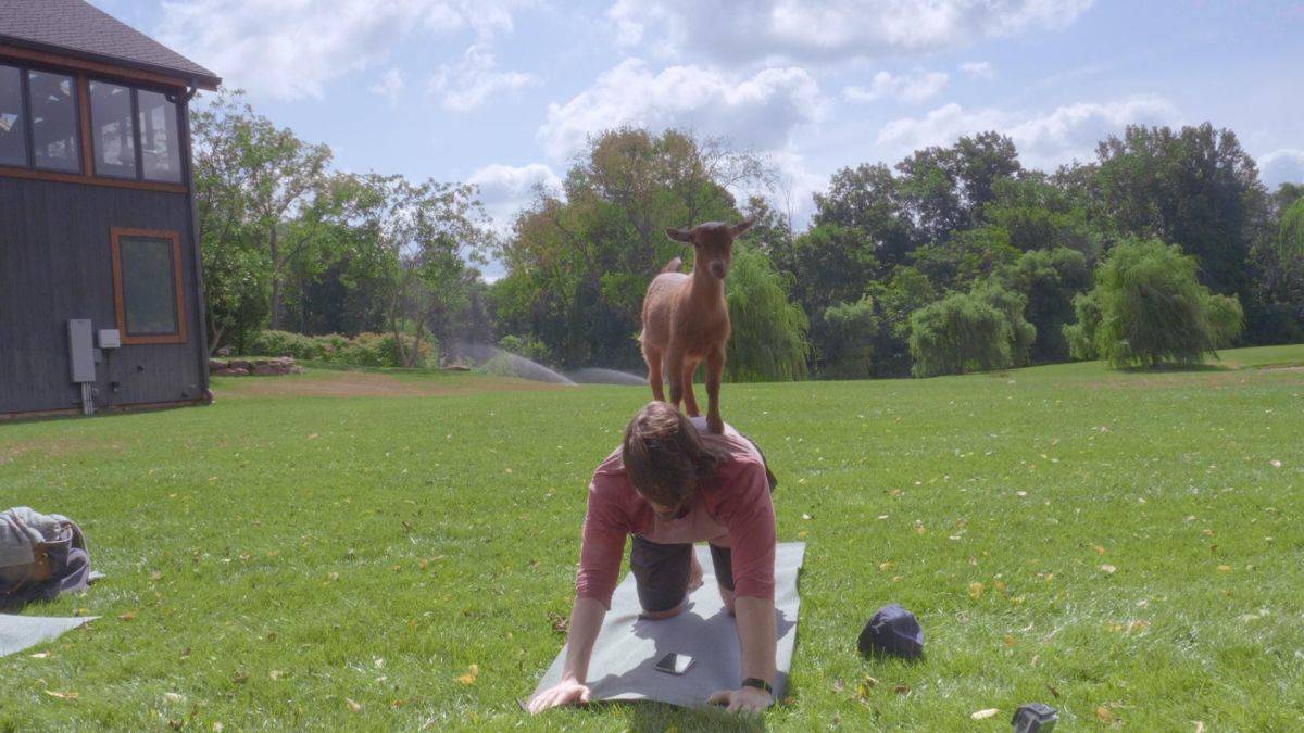 Daily Pictures. Part 1 (64 pics)