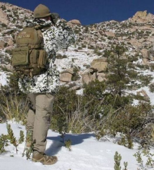 Daily Pictures. Part 1 (64 pics)