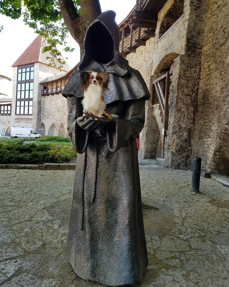 Daily Pictures. Part 2 (63 pics) Daily Pictures. Part 2 (63 pics)