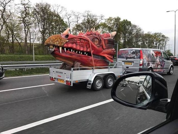 Daily Pictures. Part 2 (63 pics) Daily Pictures. Part 2 (63 pics)