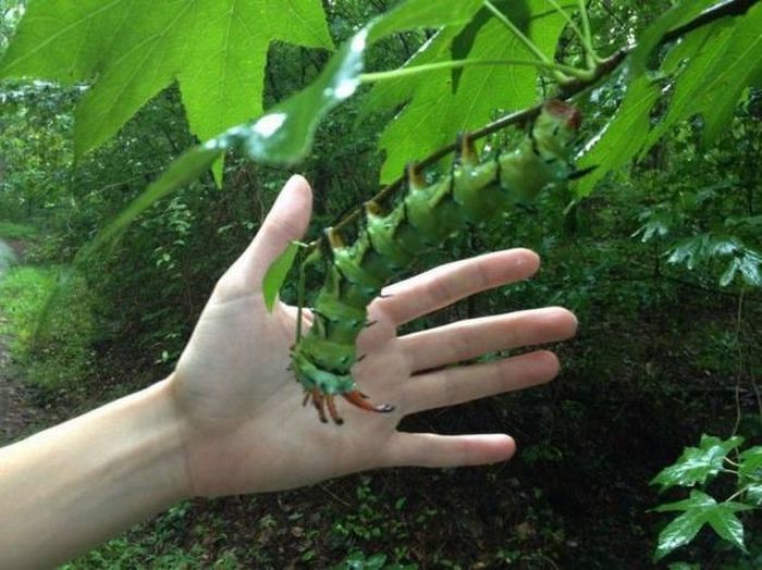 Daily Pictures. Part 1 (64 pics)