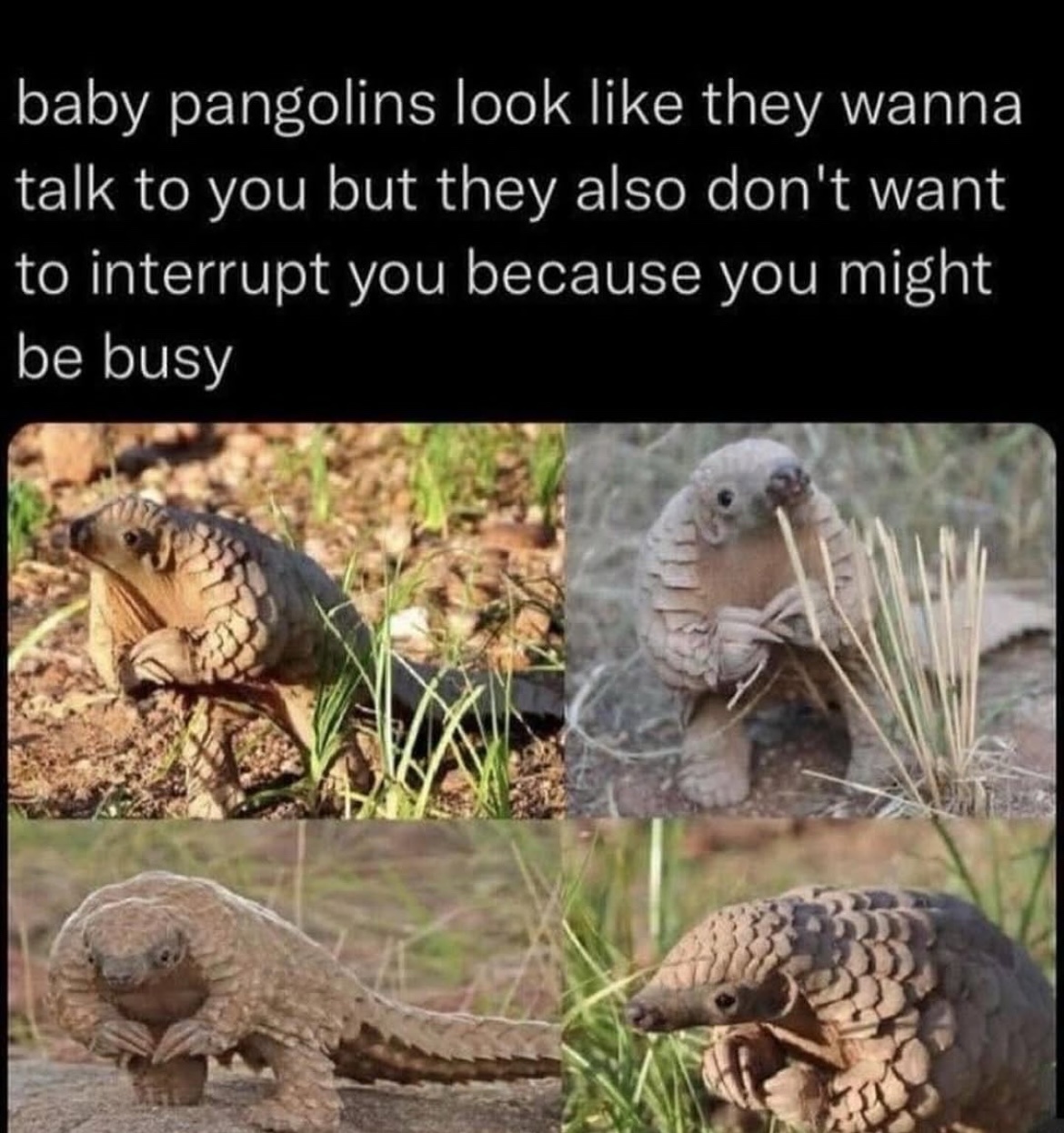 Daily Pictures. Part 2 (63 pics) Daily Pictures. Part 2 (63 pics)