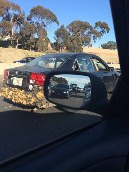 Daily Pictures. Part 2 (63 pics) Daily Pictures. Part 2 (63 pics)