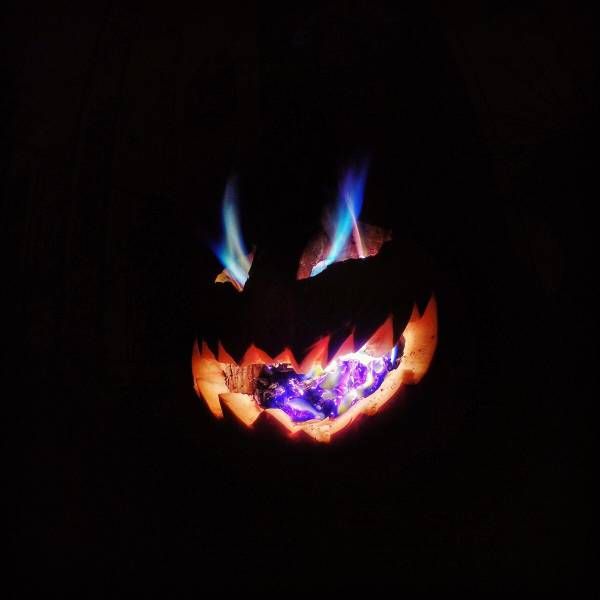 Daily Pictures. Part 1 (64 pics)