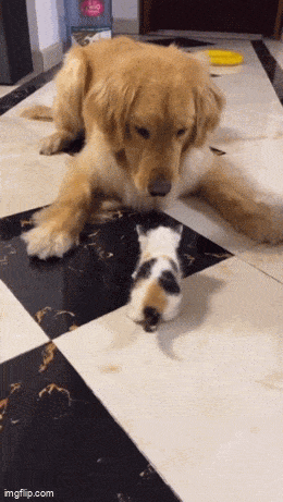 Acid GIFs, January 5 (25 gifs)