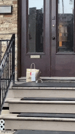 Acid GIFs, January 5 (25 gifs)