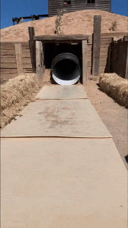 Acid GIFs, January 5 (25 gifs)