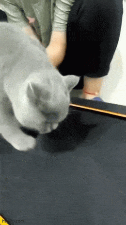 Acid GIFs, January 5 (25 gifs)