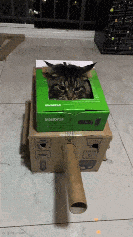 Acid GIFs, January 5 (25 gifs)