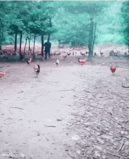 Acid GIFs, January 5 (25 gifs)