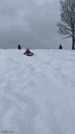 Acid GIFs, January 5 (25 gifs)