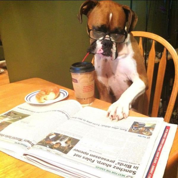 Daily Pictures. Part 1 (65 pics) Daily Pictures. Part 1 (65 pics)