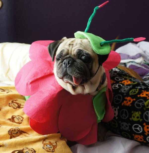 Daily Pictures. Part 1 (65 pics) Daily Pictures. Part 1 (65 pics)