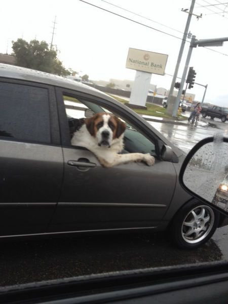 Daily Pictures. Part 1 (65 pics) Daily Pictures. Part 1 (65 pics)