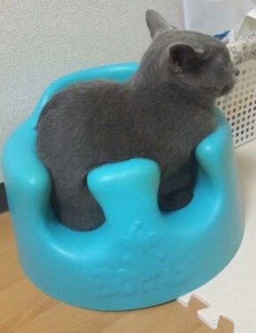 Daily Pictures. Part 1 (65 pics) Daily Pictures. Part 1 (65 pics)