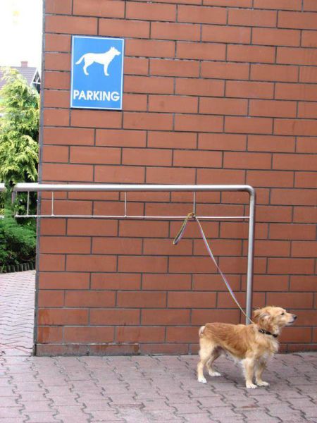 Daily Pictures. Part 1 (65 pics) Daily Pictures. Part 1 (65 pics)