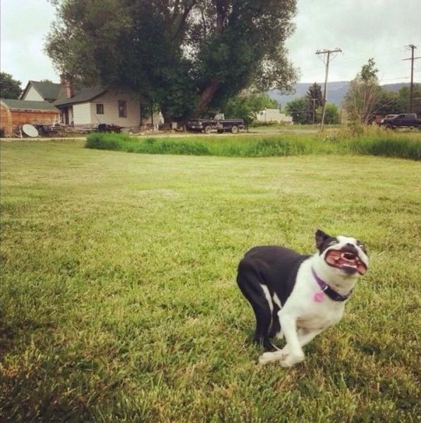 Daily Pictures. Part 2 (63 pics)