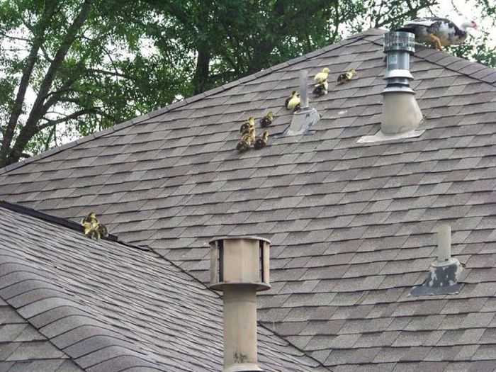 Daily Pictures. Part 1 (65 pics) Daily Pictures. Part 1 (65 pics)