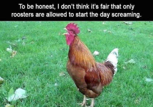 Daily Pictures. Part 2 (63 pics)