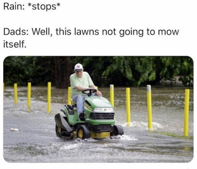 Daily Pictures. Part 2 (63 pics)