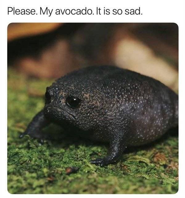 Daily Pictures. Part 2 (63 pics)