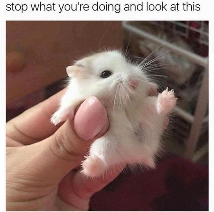 Daily Pictures. Part 2 (63 pics)