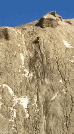 Acid GIFs, January 6 (25 gifs)