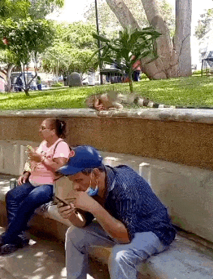 Acid GIFs, January 6 (25 gifs)