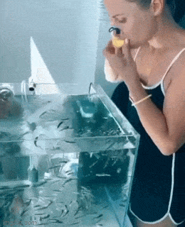 Acid GIFs, January 6 (25 gifs)