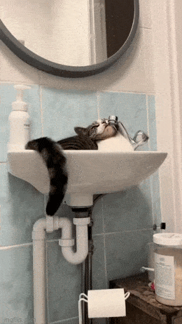 Acid GIFs, January 6 (25 gifs)