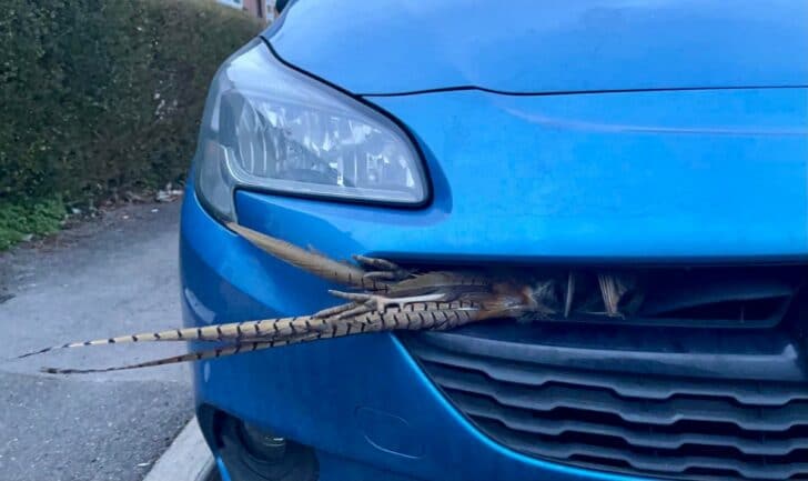 Bad Days Happen (21 pics)