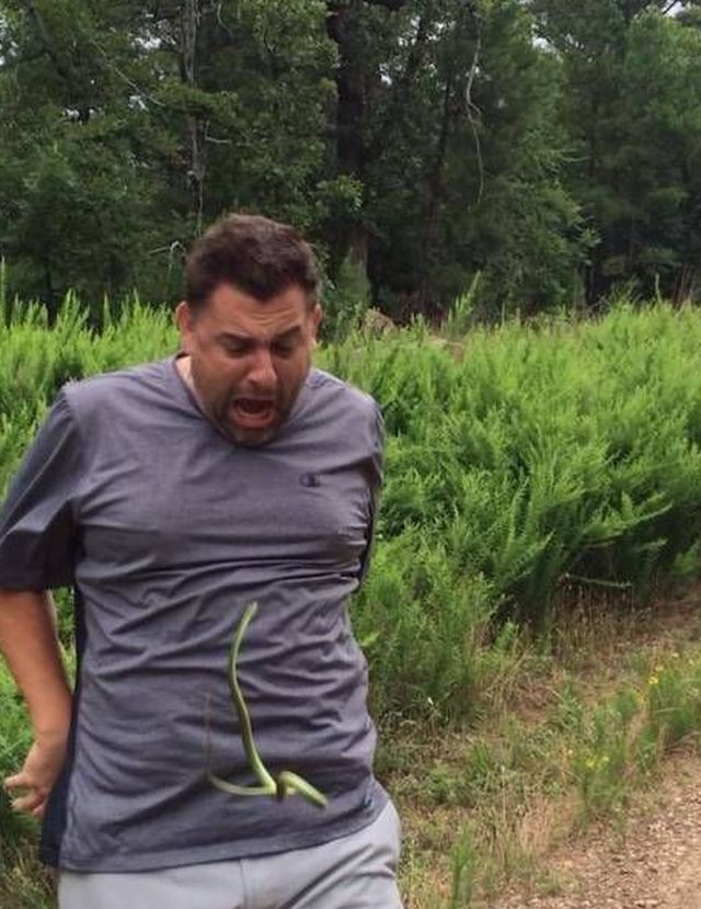 Daily Pictures. Part 1 (63 pics)