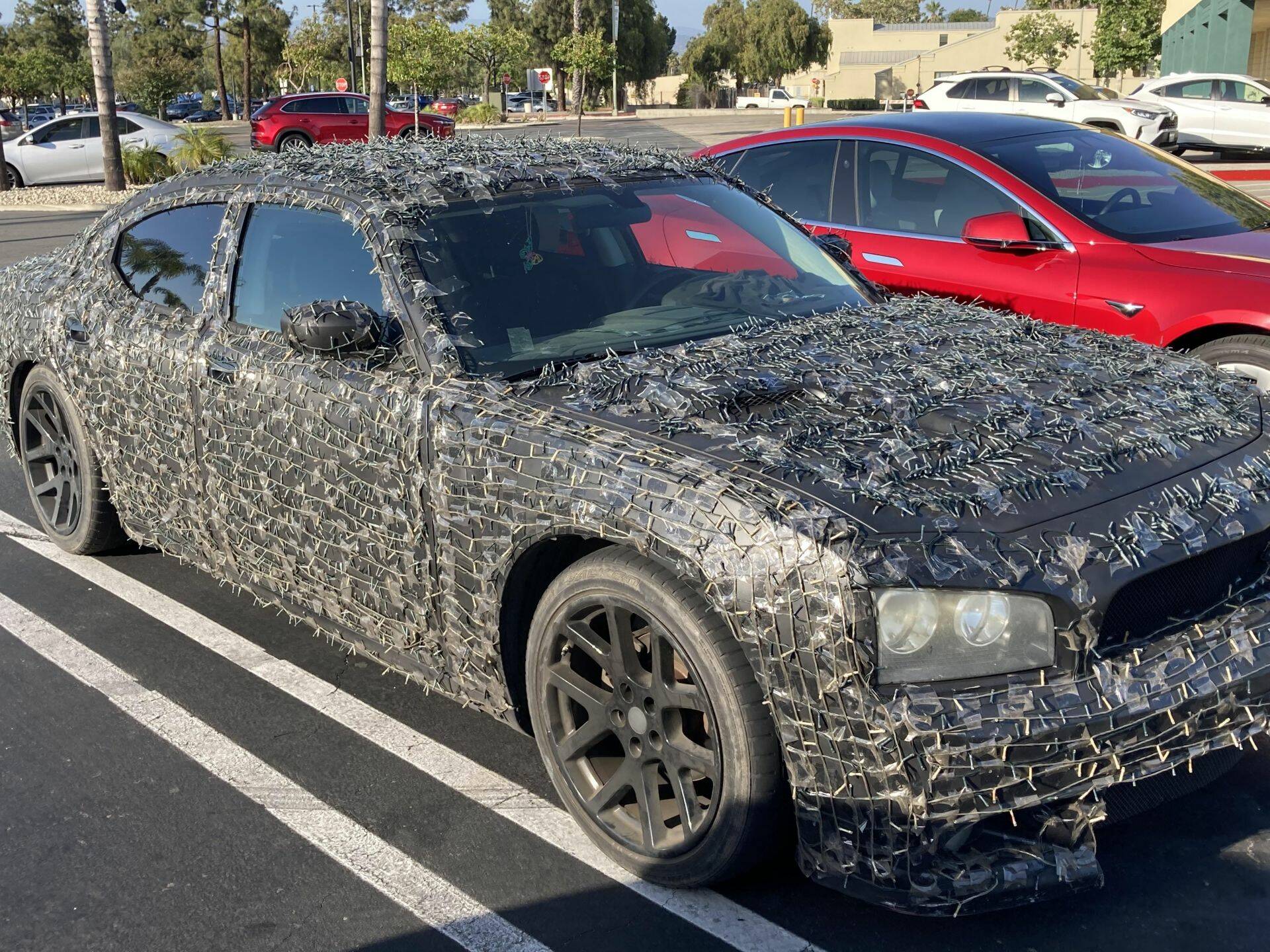 Daily Pictures. Part 1 (63 pics)