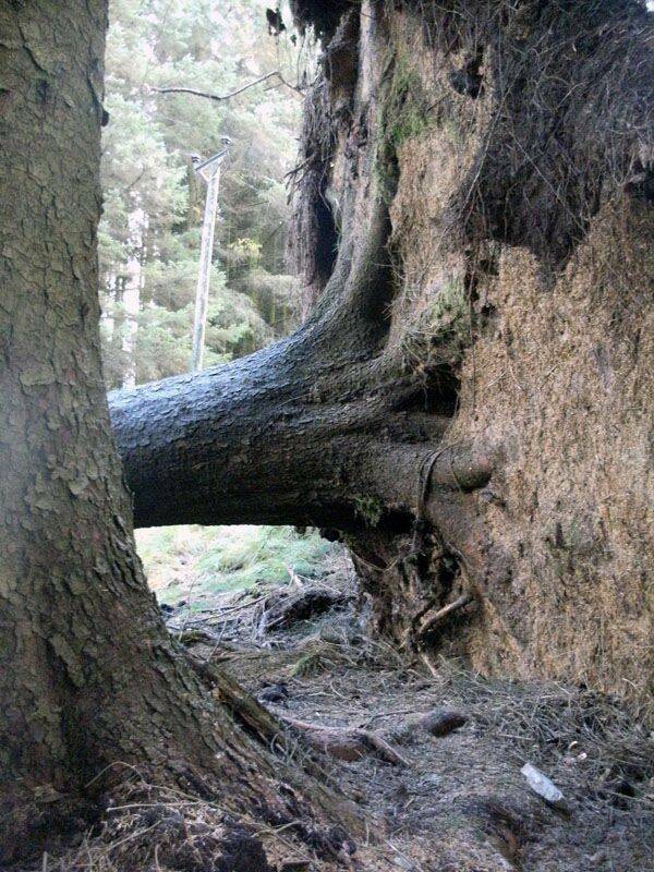 Daily Pictures. Part 1 (63 pics)