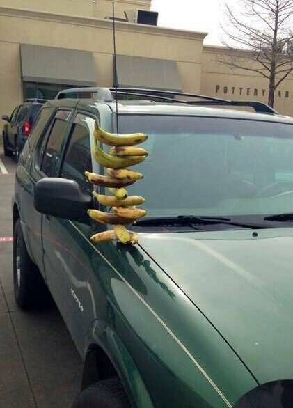 Daily Pictures. Part 1 (63 pics)