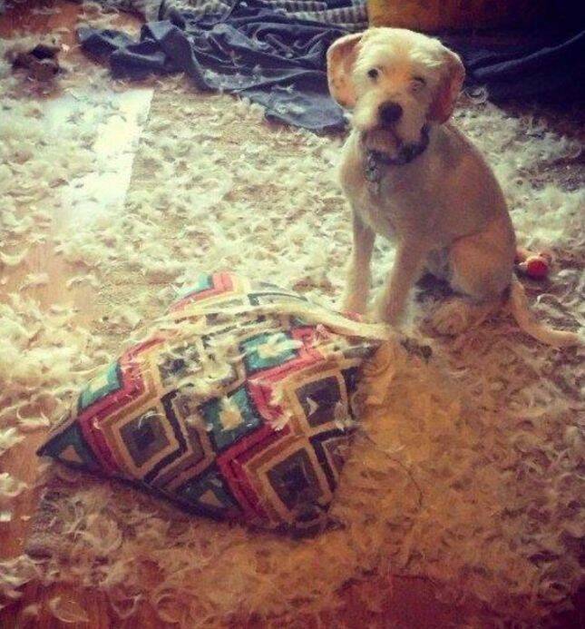 Daily Pictures. Part 1 (63 pics)