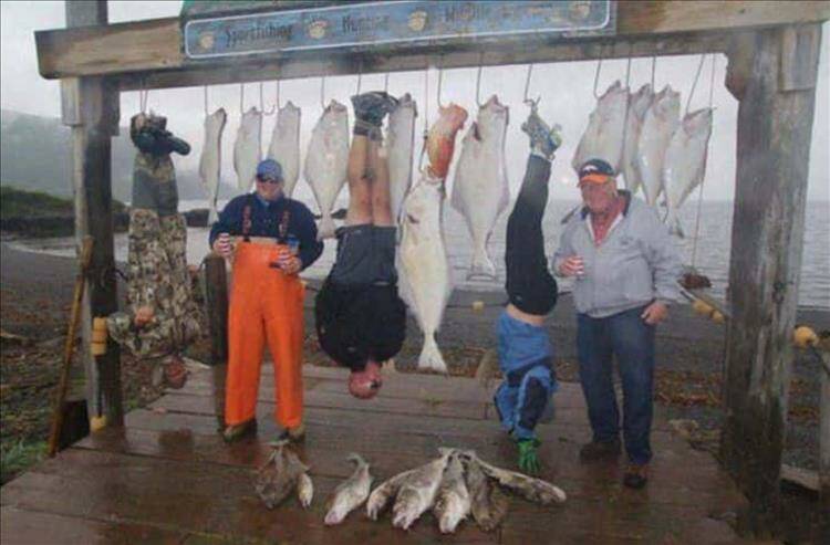 Daily Pictures. Part 1 (63 pics)