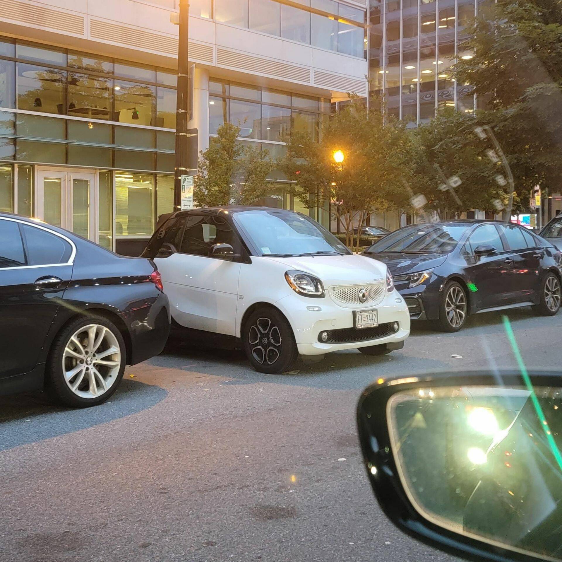 Daily Pictures. Part 1 (63 pics)