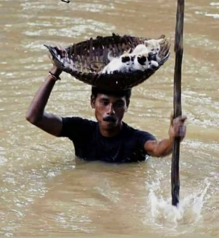 Daily Pictures. Part 1 (63 pics)