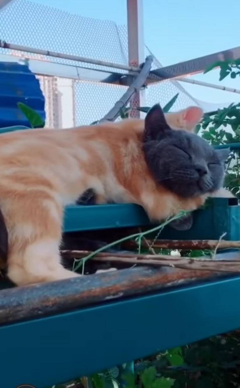 Daily Pictures. Part 2 (62 pics)